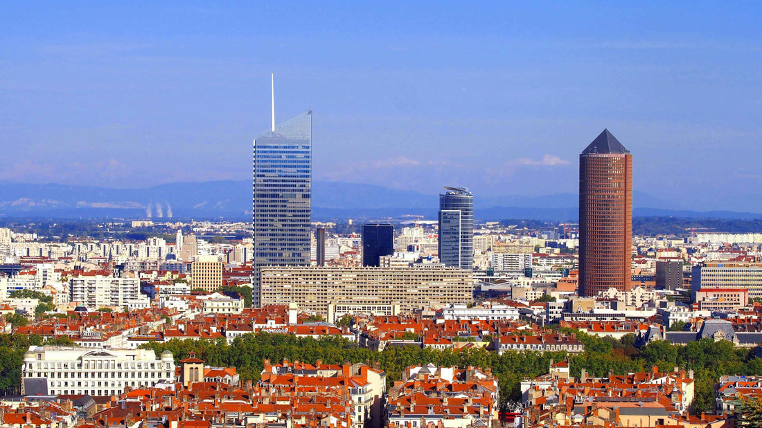 Parler lyonnais : le guide complet des expressions, mots et tournures qui font l'accent de Lyon