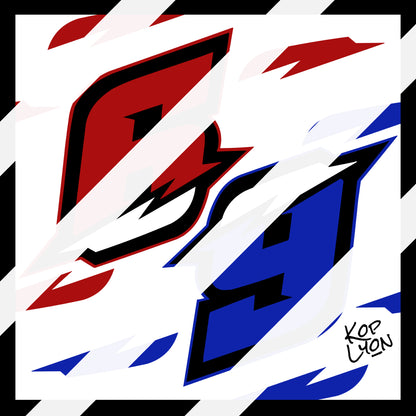 Lots de stickers personnalisés au choix